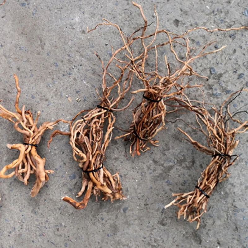 Aquarium Driftwood - Batang Pohon Kayu Apung Alami untuk