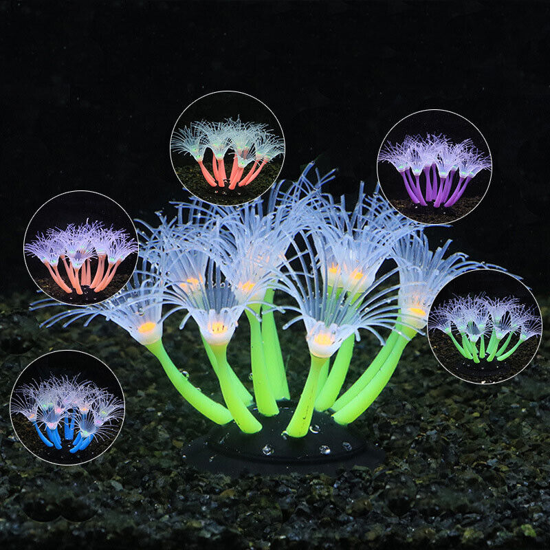 Silikon Bercahaya untuk Lanska - Aquarium Plants Live ulasan dan harga