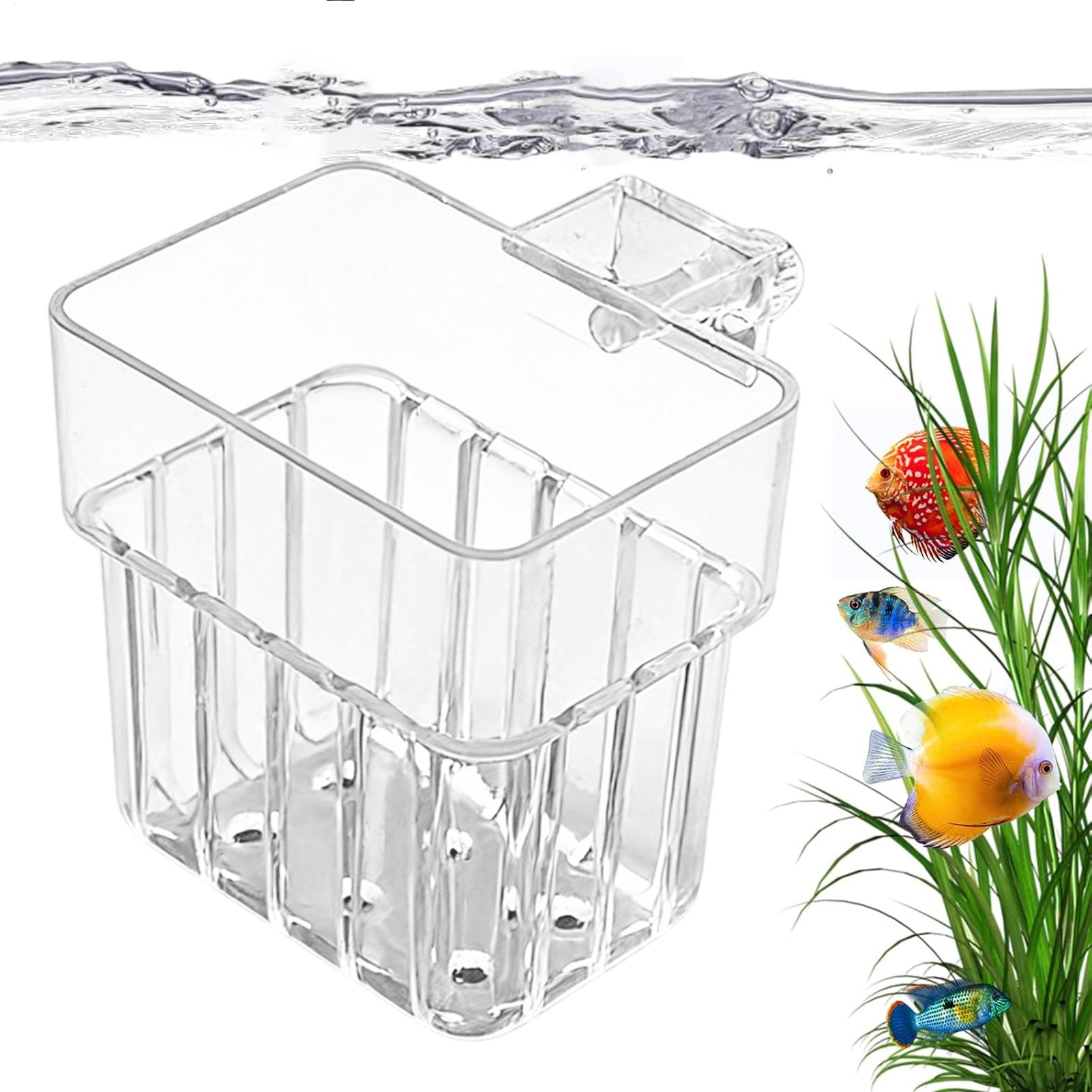 Pot Tanaman Akuarium Transpara - Aquarium Plants Live ulasan dan harga