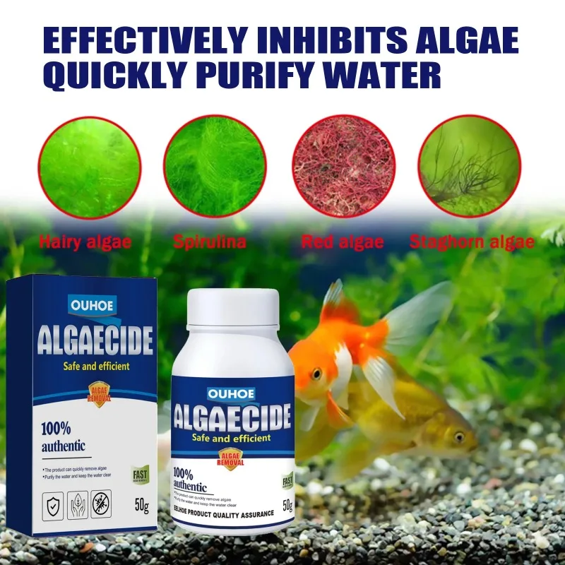 50g Algaecide Efisiensi Tinggi - Aquarium Moss ulasan dan harga