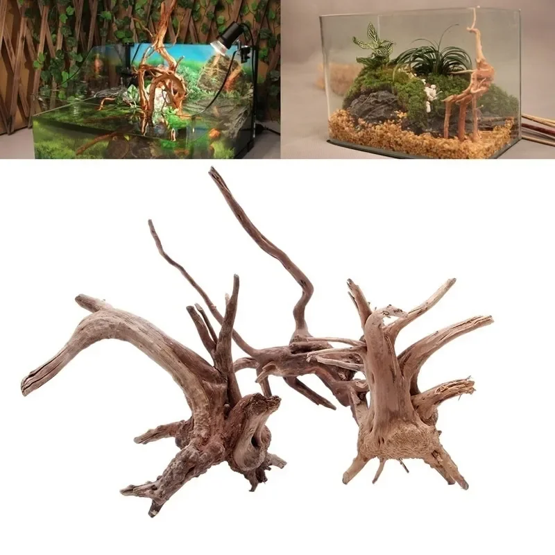 Pohon alami kayu apung akuariu - Aquarium Driftwood ulasan dan harga
