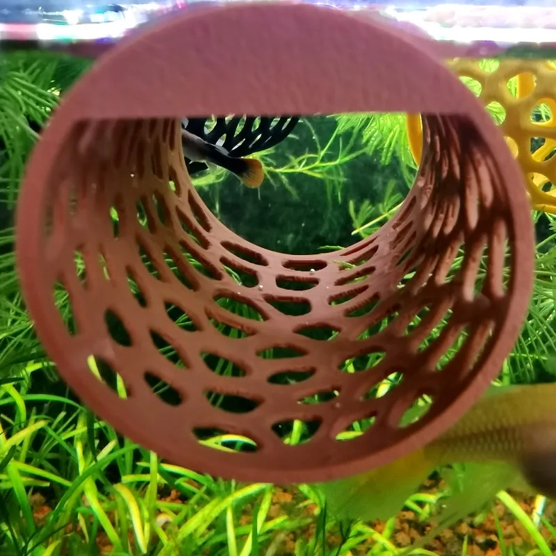 Terowongan Hammock Betta Menga - Aquarium Plants Live ulasan dan harga