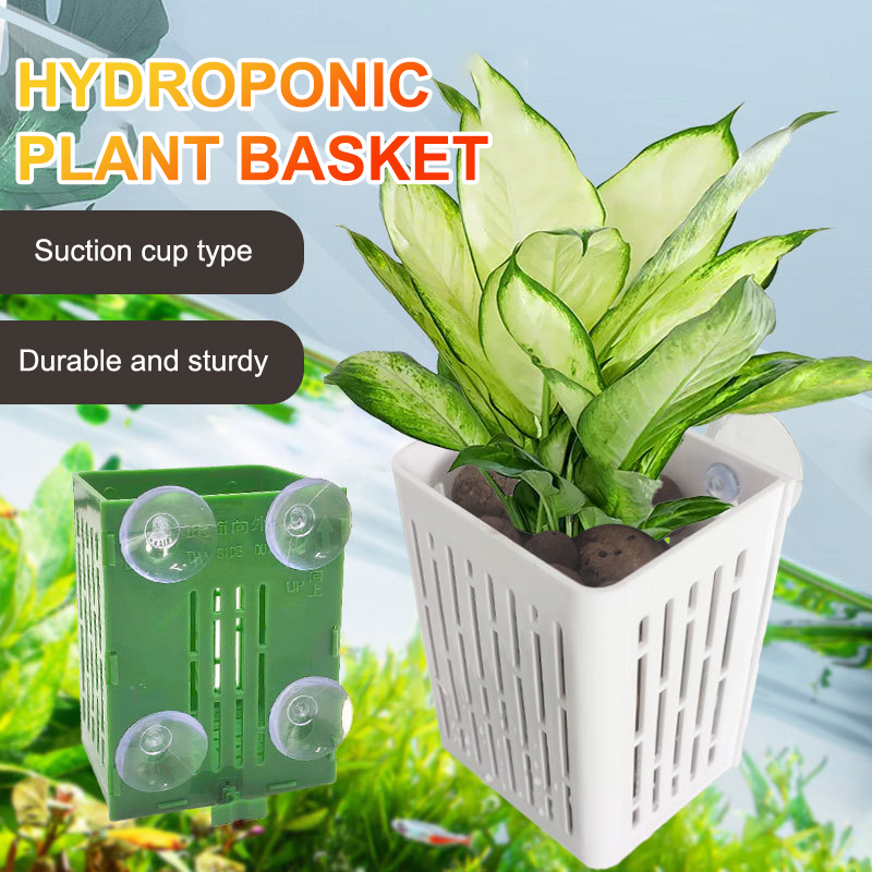 Kait cangkir hisap gantung pem - Plant Aquarium Pot ulasan dan harga