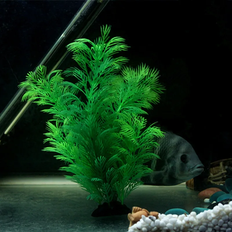 Tanaman Dekorasi Akuarium Buat - Aquarium Plants Live ulasan dan harga