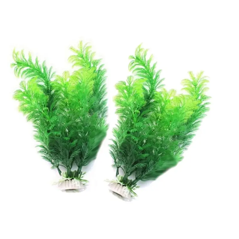 Tanaman Dekorasi Akuarium Buat - Aquarium Plants Live ulasan dan harga