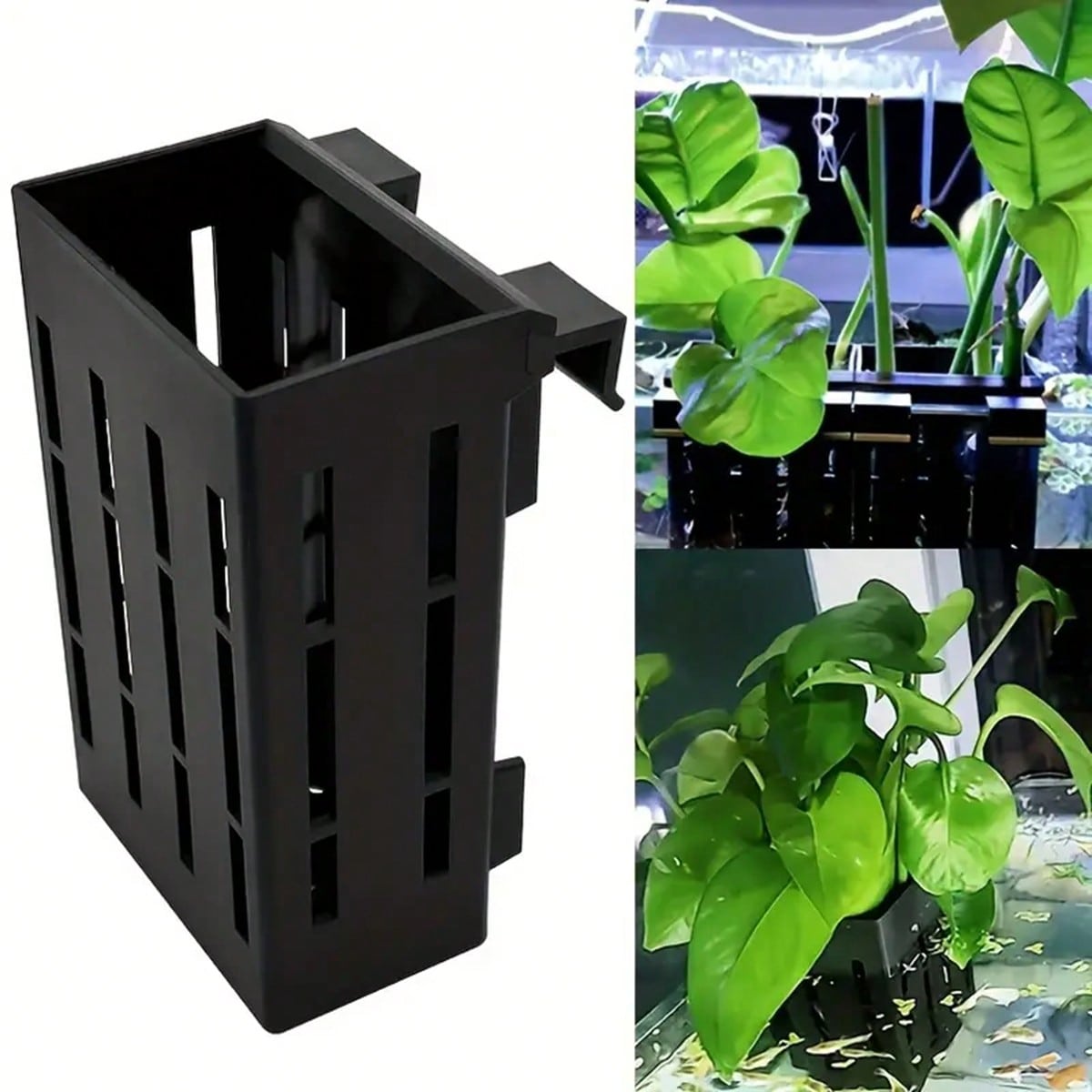 Tempat Tanaman Akuarium Keranj - Aquarium Plant Holder ulasan dan harga