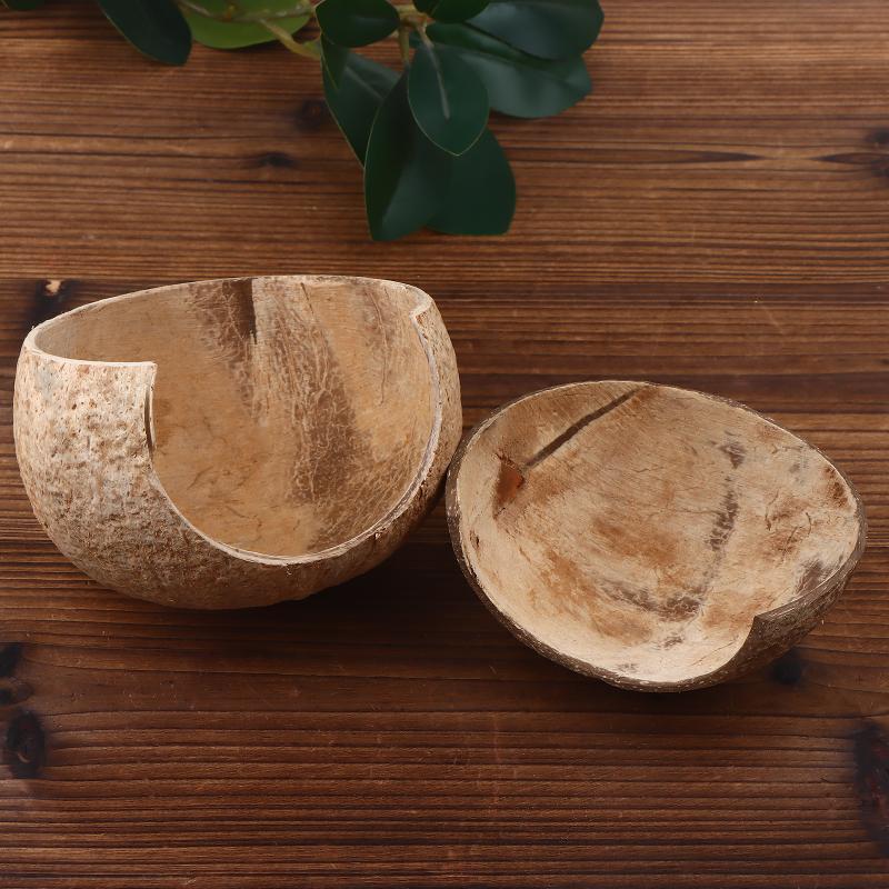 Dekorasi Pondok Kelapa untuk A - Aquarium Driftwood ulasan dan harga