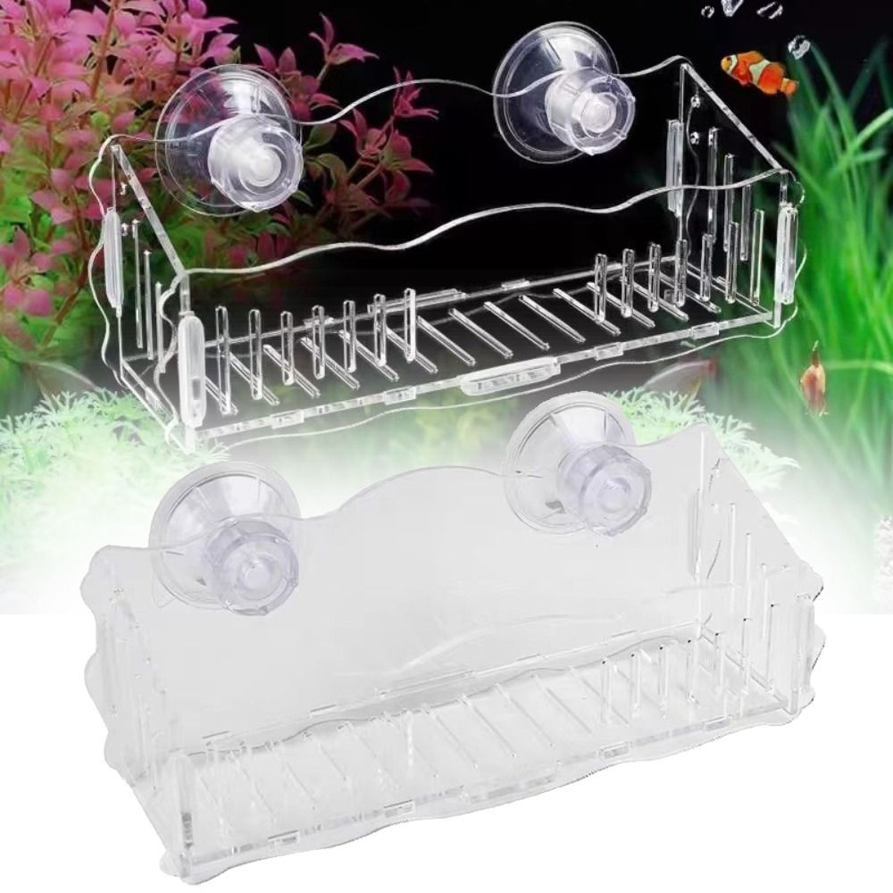 Wadah Tanaman Akuarium Akrilik - Plant Aquarium Pot ulasan dan harga