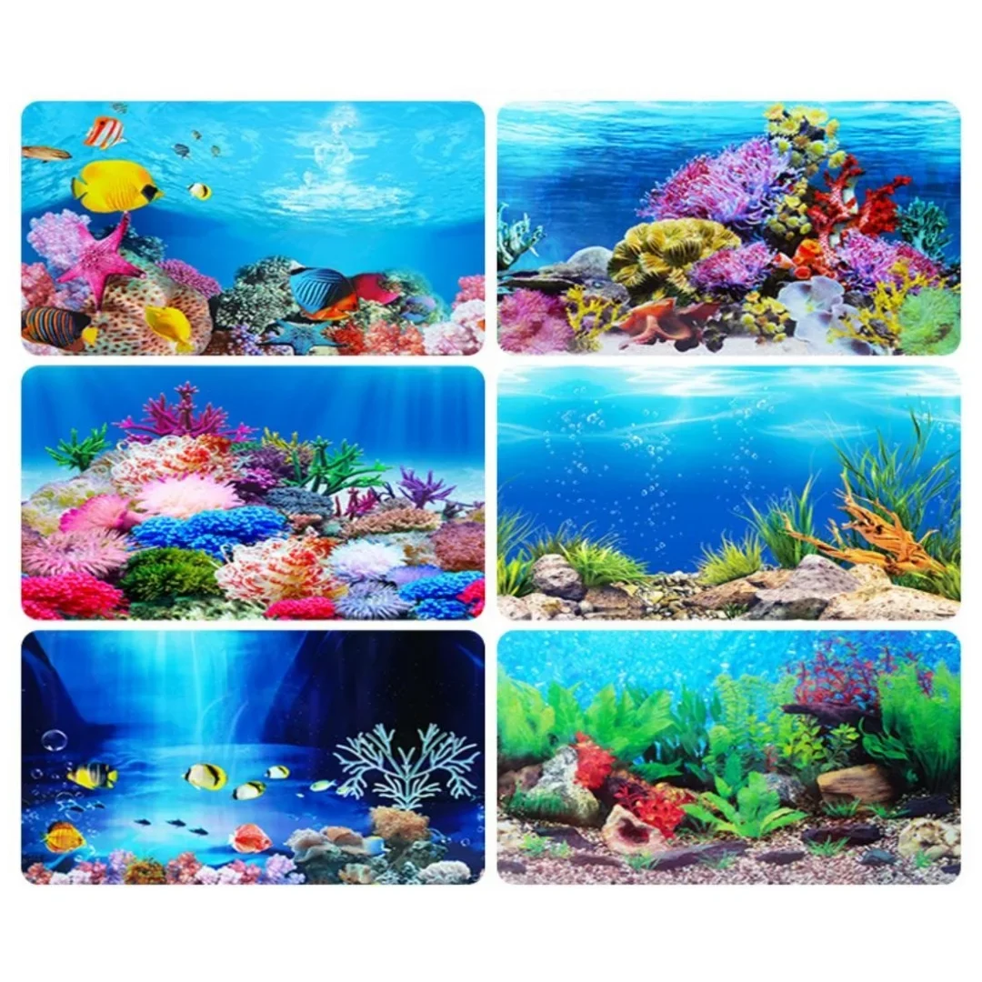 Latar belakang akuarium 3D sti - Aquarium Plants Live ulasan dan harga