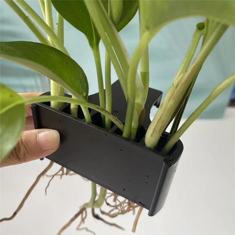 AT05 – Wadah Tanaman Akuarium, - Aquarium Plants Live ulasan dan harga