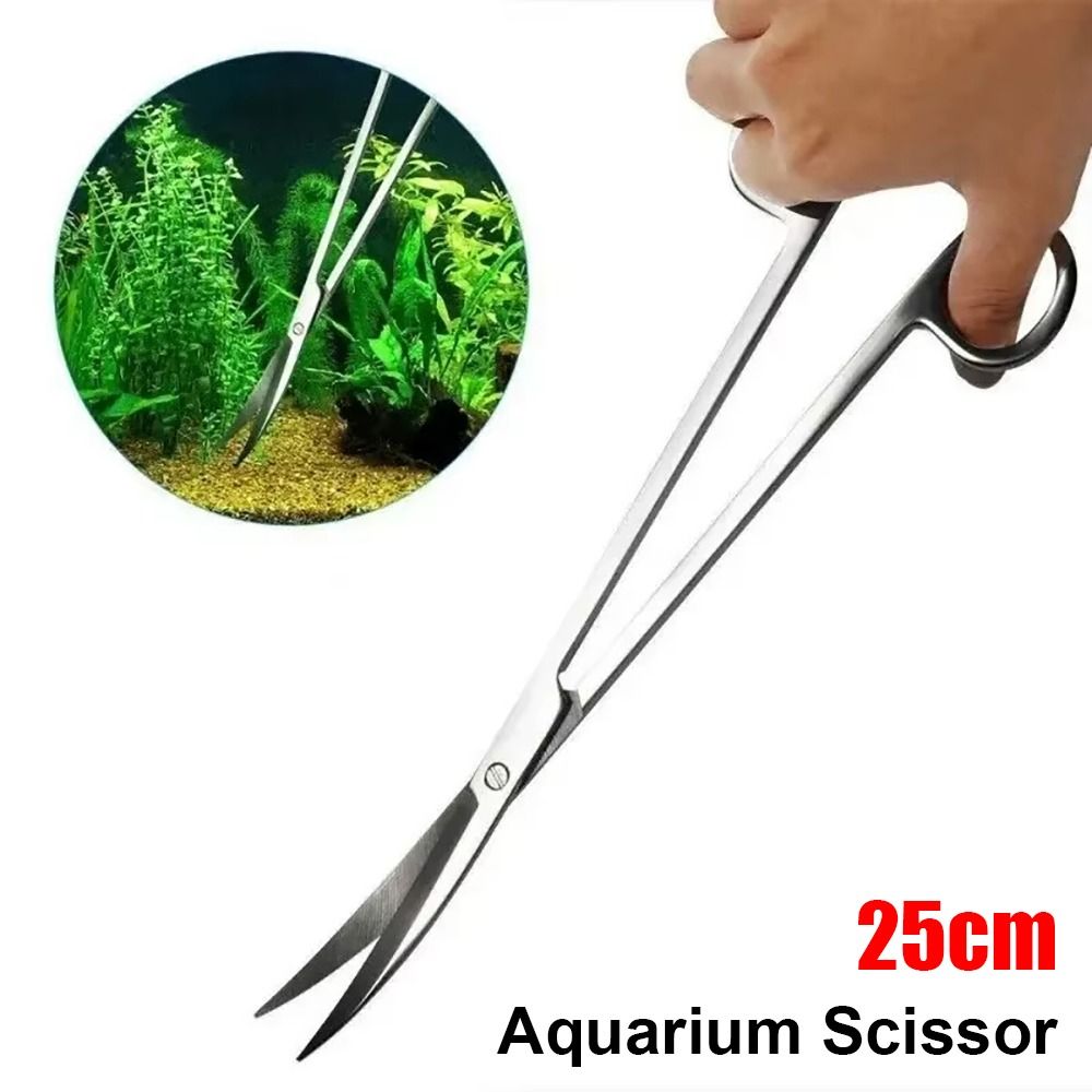 1 Buah Gunting Akuarium Baja T - Planted Aquarium Cleaning ulasan dan harga