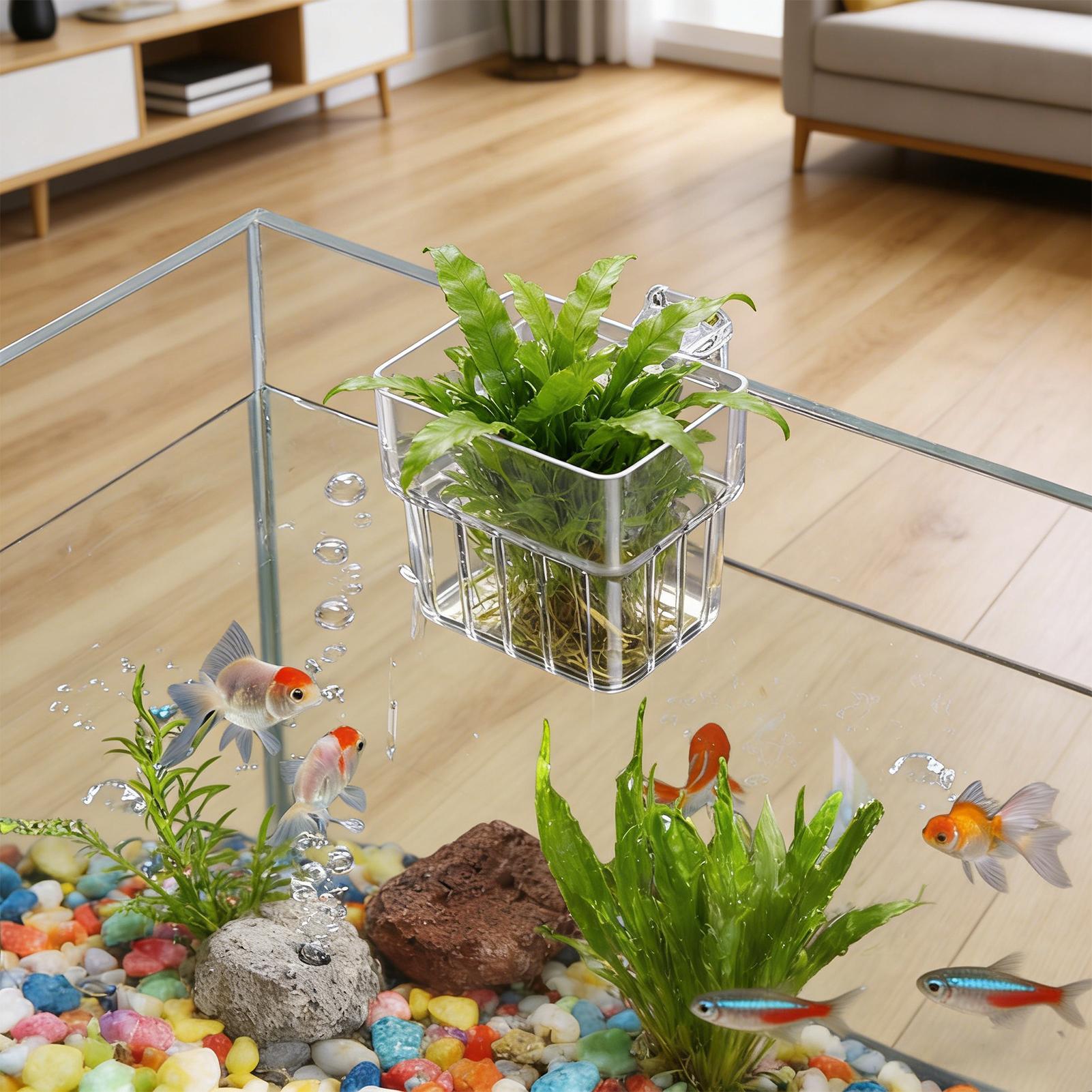 Pot Gantung Transparan untuk A - Plant Aquarium Pot ulasan dan harga